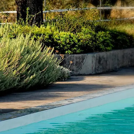 Olivemare 3* 케텔리오스