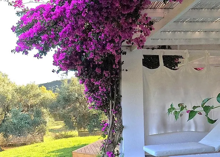 Szálloda Olivemare 3*
