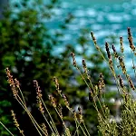 Olivemare Hotel Katelios