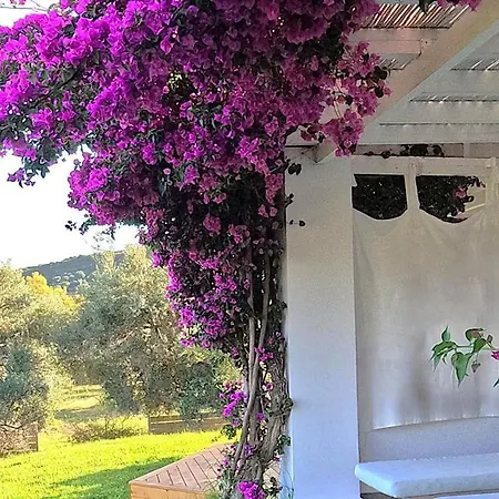 Hotel Olivemare 3*