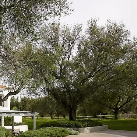 Olivemare Hotel 3*