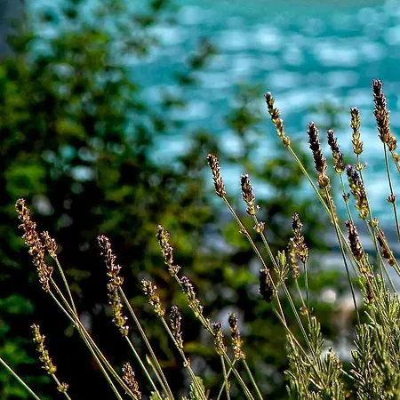 Olivemare Hotell Kateleios