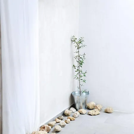 Olivemare Hotell Kateleios